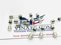 Cầu Chì Ống Thủy Tinh 250VAC 100mA  5x20mm